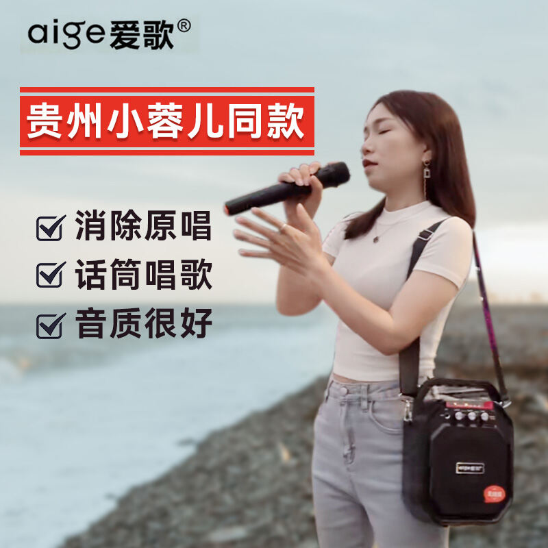 Aige S28 Outdoor Square Dance Audio Large Volume Wireless Bluetooth Microphone Karaoke Portable Speaker Singing Effect