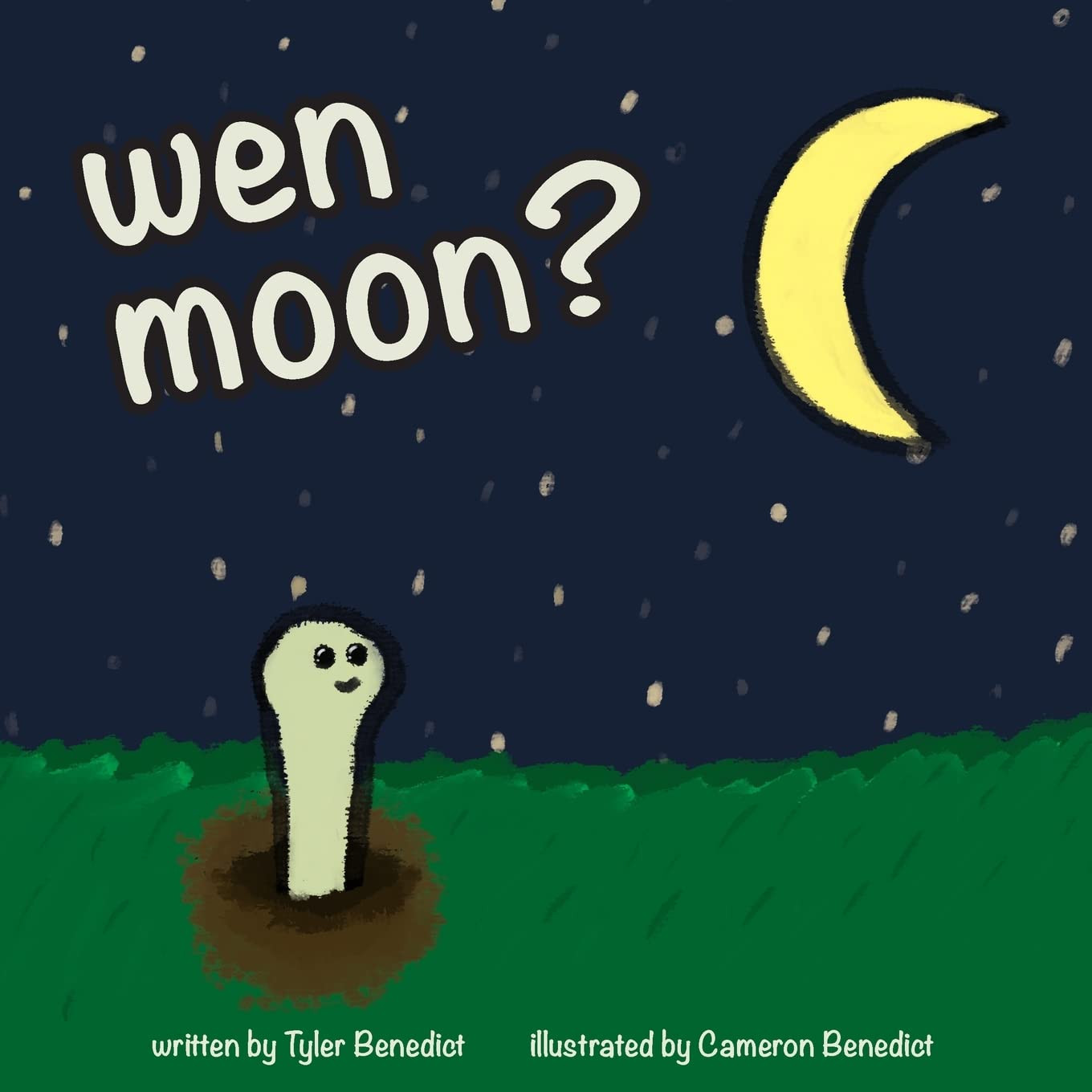 wen moon?: A children's storybook about NFTs, WEB3, and cryptocurrency